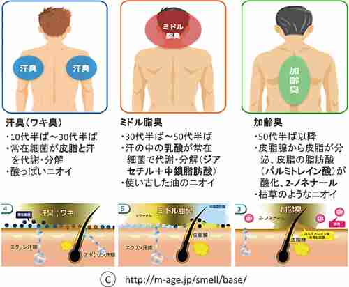 加齢臭対策、教えてください！