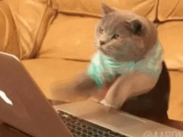 仕事できないやつほど〇〇