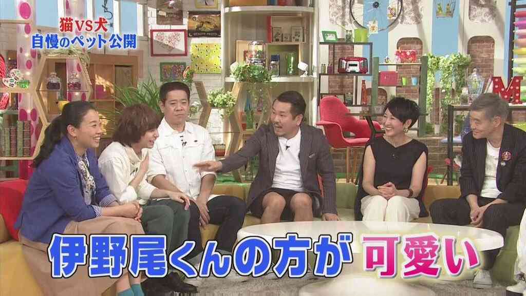 ジャニーズ画像で会話【時々、武田鉄矢降臨】