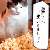 ドラマ「ダメな私に恋してください」好きだった方