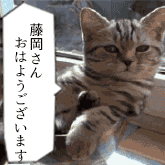 ドラマ「ダメな私に恋してください」好きだった方
