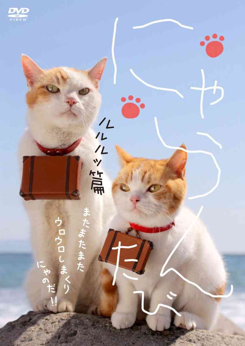 大抵の女子は好きだと思うもの選手権