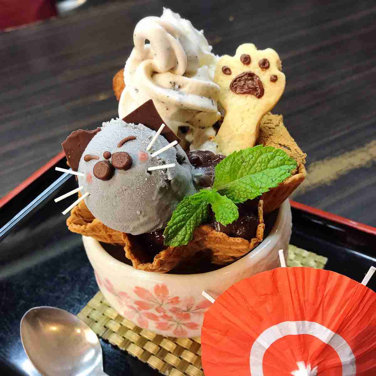 ガルちゃん猫カフェ30号店 開店しました♪ (初めての方も大歓迎！)