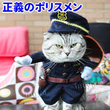 ガルちゃん猫カフェ30号店 開店しました♪ (初めての方も大歓迎！)