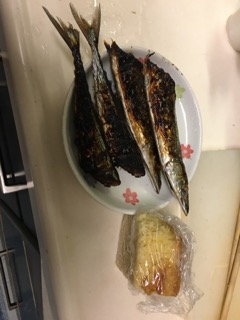 ガルちゃん猫カフェ30号店 開店しました♪ (初めての方も大歓迎！)