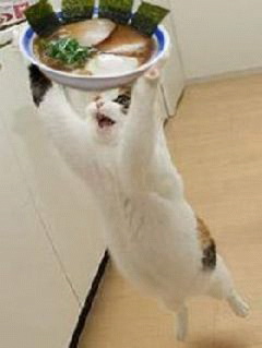 ガルちゃん猫カフェ30号店 開店しました♪ (初めての方も大歓迎！)