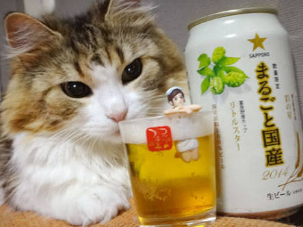 ガルちゃん猫カフェ30号店 開店しました♪ (初めての方も大歓迎！)