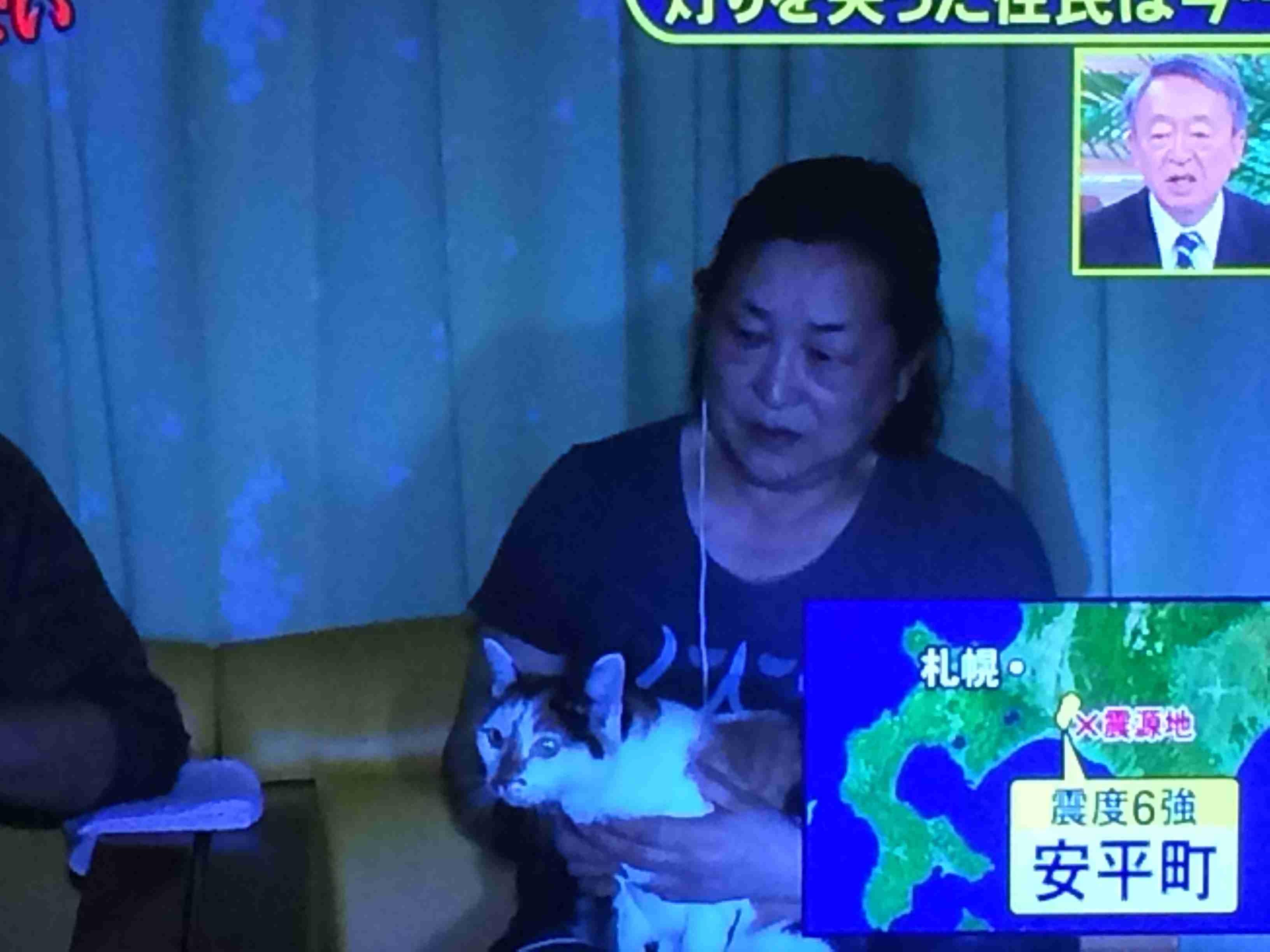 ガルちゃん猫カフェ30号店 開店しました♪ (初めての方も大歓迎！)