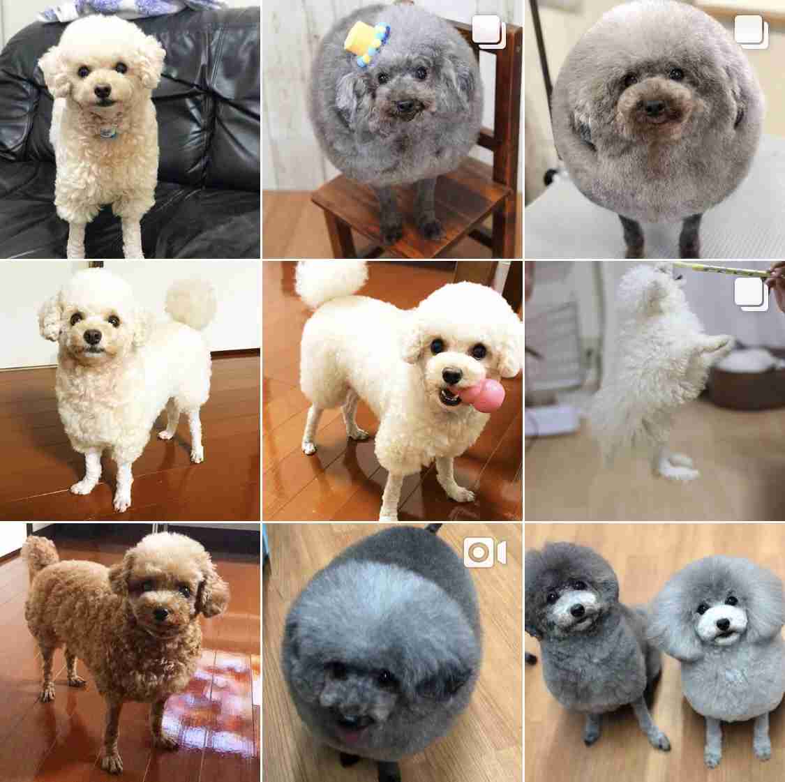 めっちゃ個人的なブーム