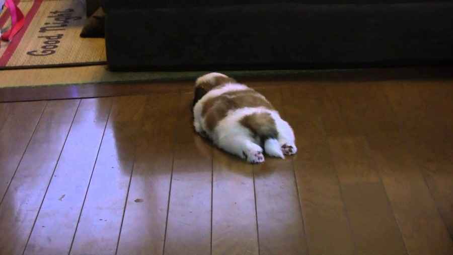 めっちゃ個人的なブーム