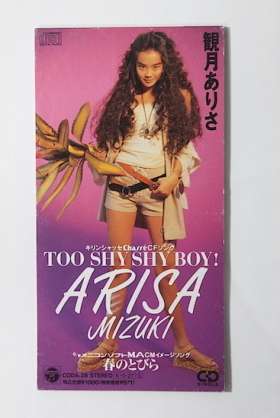 アラフォーが懐かしいと思うCDジャケットを貼る