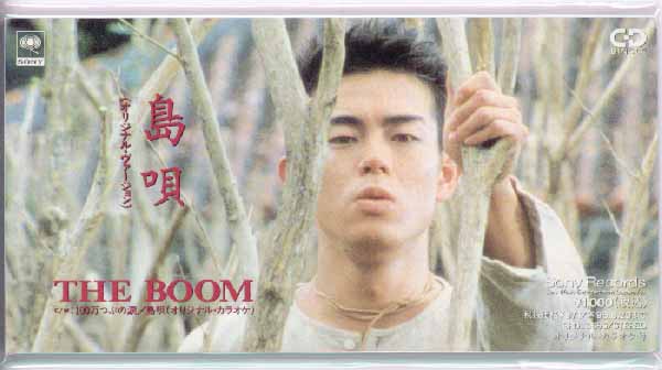 アラフォーが懐かしいと思うCDジャケットを貼る