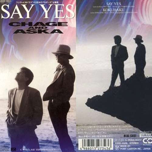 アラフォーが懐かしいと思うCDジャケットを貼る