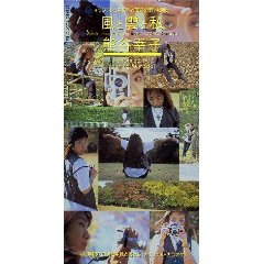 アラフォーが懐かしいと思うCDジャケットを貼る