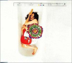 アラフォーが懐かしいと思うCDジャケットを貼る