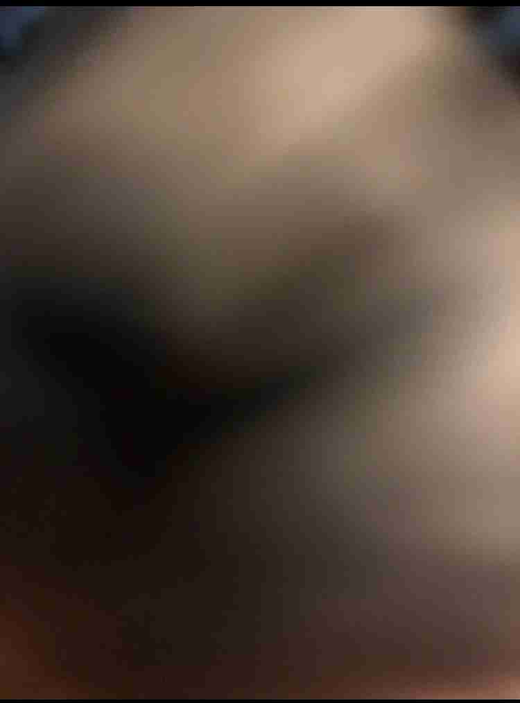 ペットの写真を貼っていくトピ③