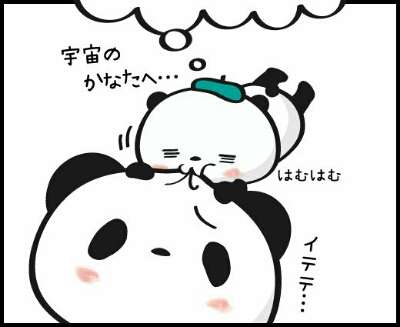 【楽天】お買いものパンダ好きな方 2018 Summer