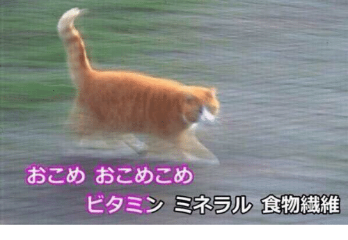 浜崎あゆみ、久しぶりの“ボブヘア”で雰囲気一新 「かわいい」と話題