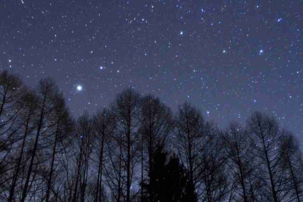 【画像】星のトピ