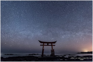 【画像】星のトピ