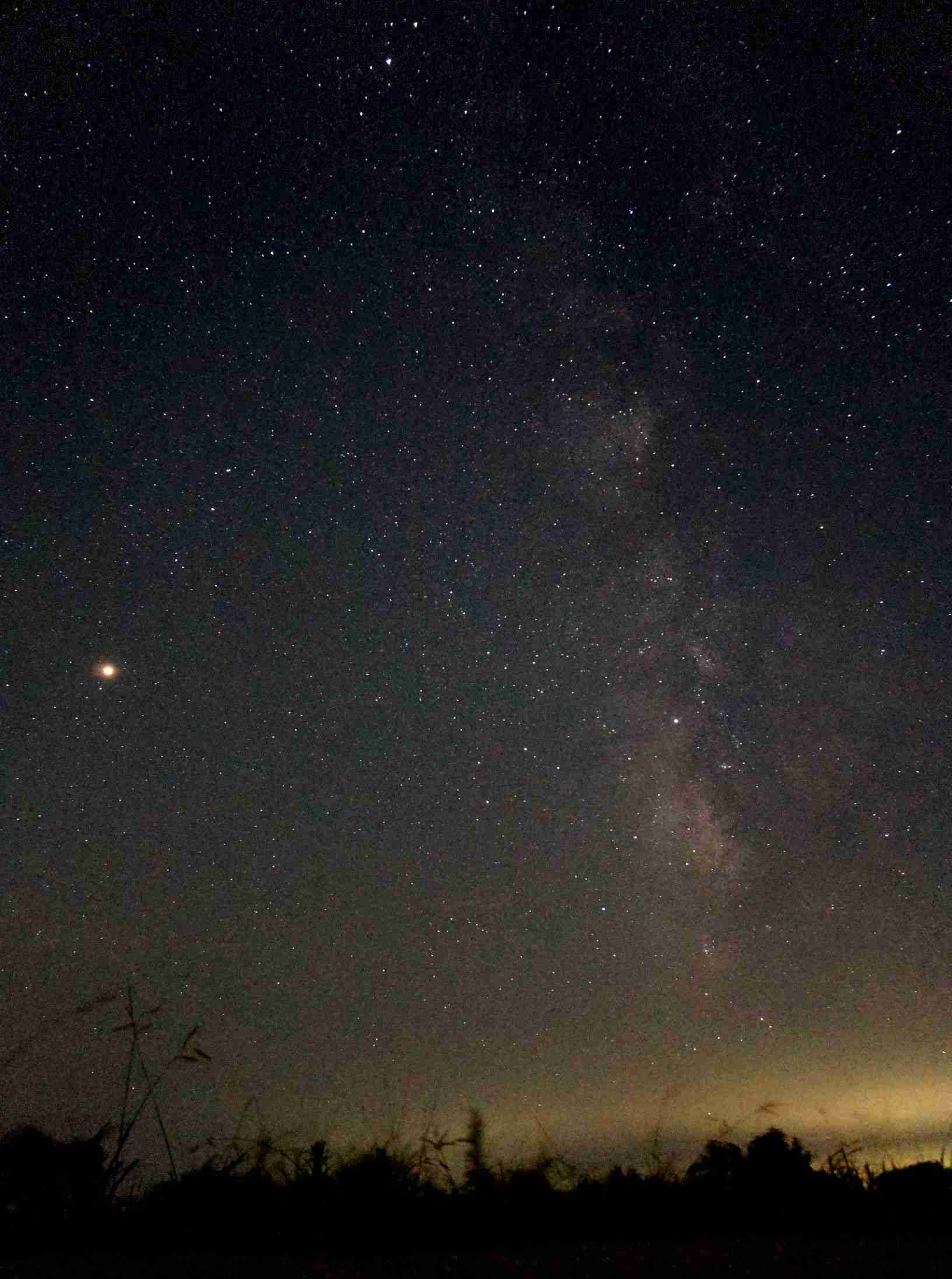 【画像】星のトピ