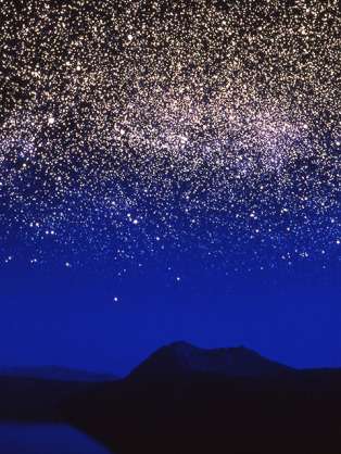 【画像】星のトピ