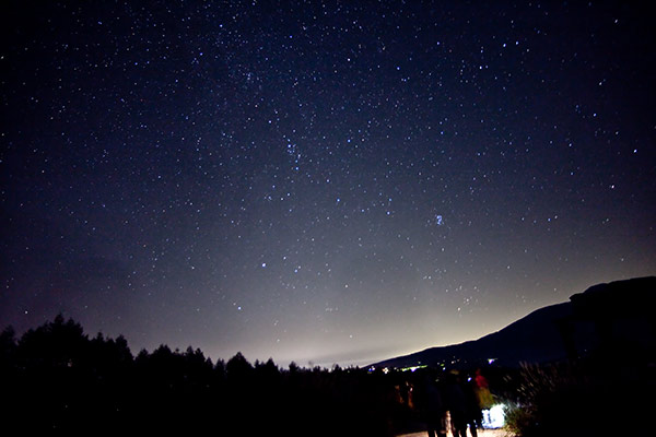 【画像】星のトピ