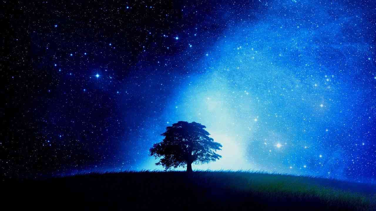【画像】星のトピ