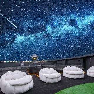 【画像】星のトピ