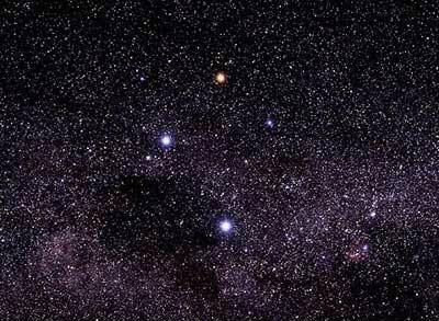 【画像】星のトピ