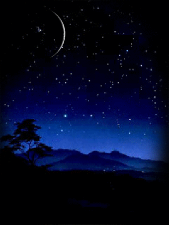 【画像】星のトピ