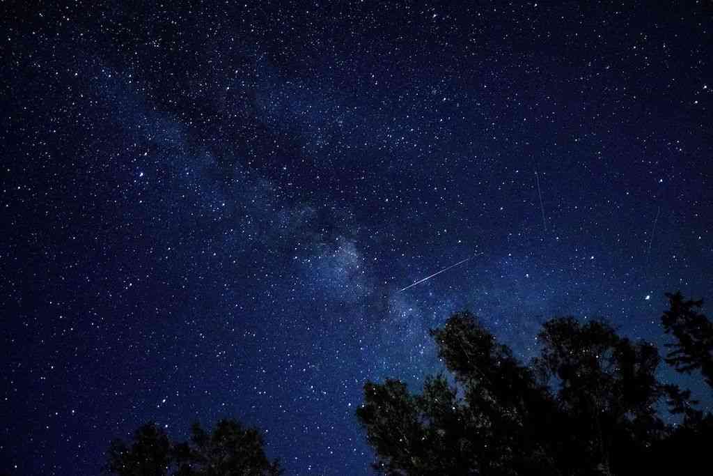 【画像】星のトピ
