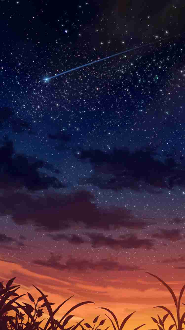 【画像】星のトピ