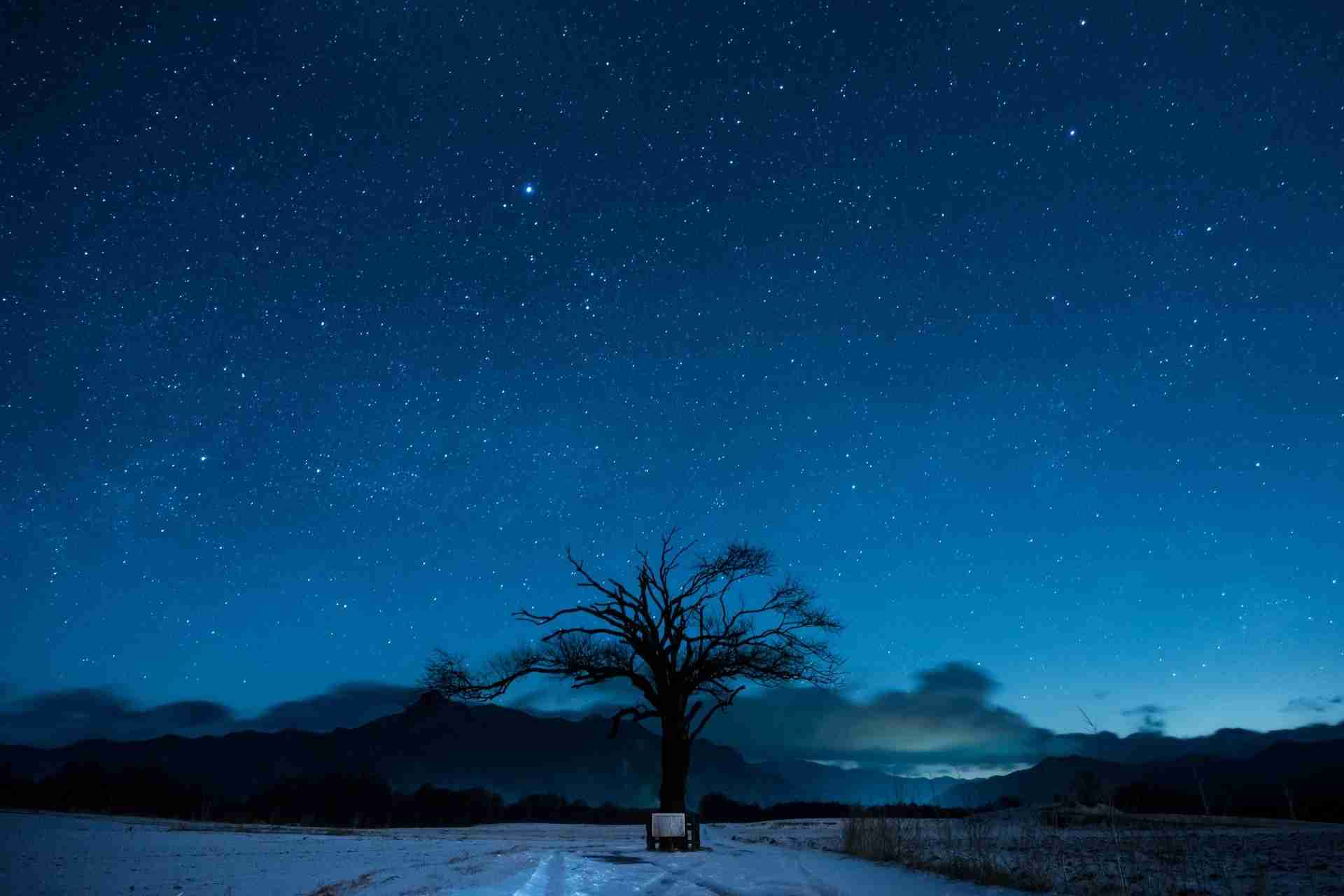 【画像】星のトピ