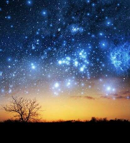 【画像】星のトピ