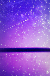 【画像】星のトピ