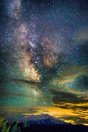 【画像】星のトピ