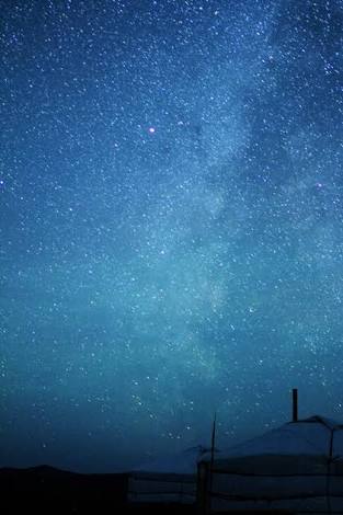 【画像】星のトピ