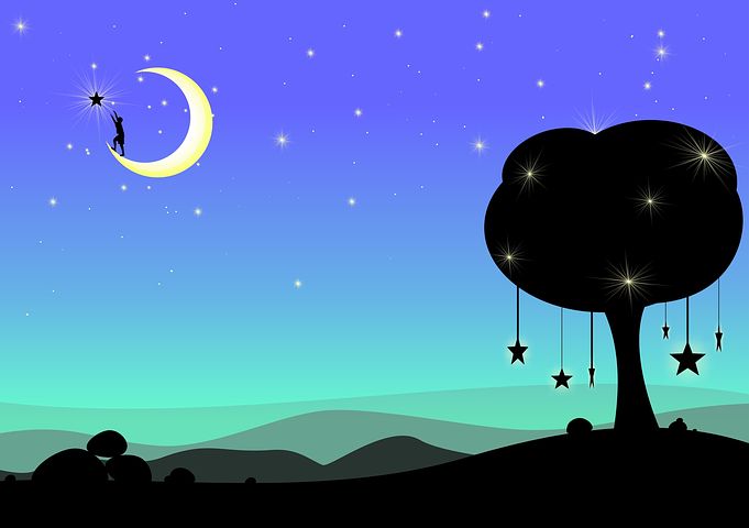 【画像】星のトピ