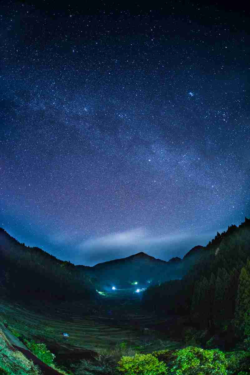 【画像】星のトピ