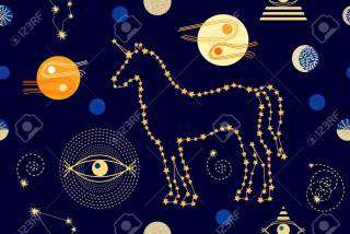 【画像】星のトピ
