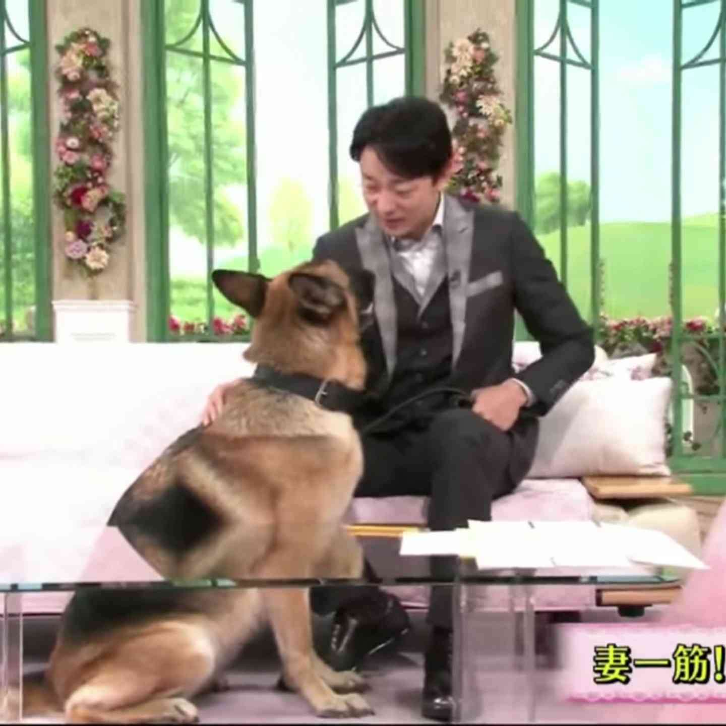 動物と一緒に写ってるイケメン有名人が観たい