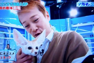動物と一緒に写ってるイケメン有名人が観たい