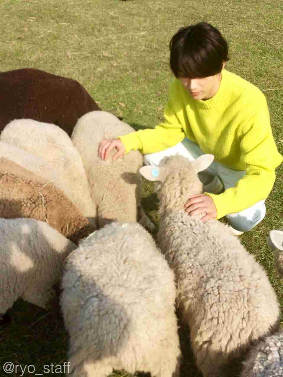 動物と一緒に写ってるイケメン有名人が観たい