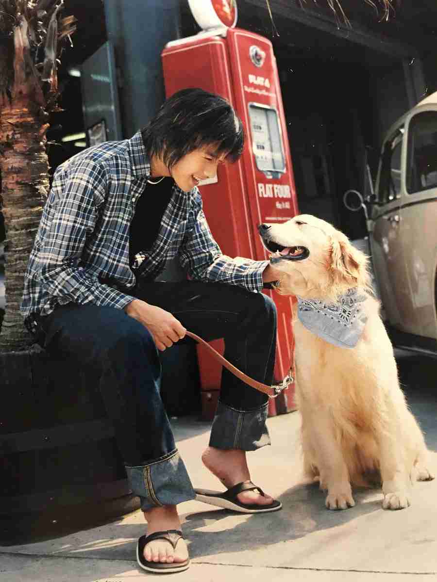 動物と一緒に写ってるイケメン有名人が観たい