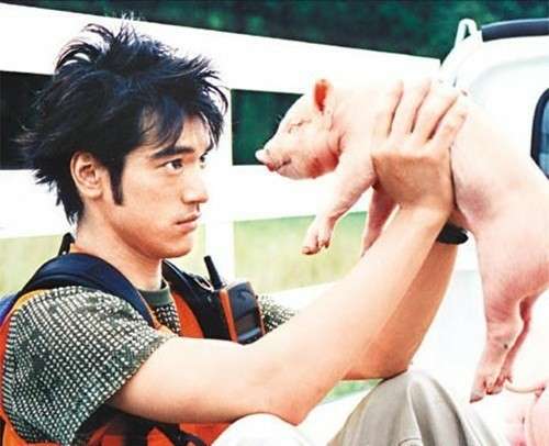 動物と一緒に写ってるイケメン有名人が観たい