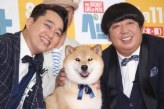 動物と一緒に写ってるイケメン有名人が観たい