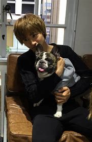 動物と一緒に写ってるイケメン有名人が観たい