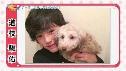 動物と一緒に写ってるイケメン有名人が観たい