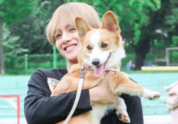 動物と一緒に写ってるイケメン有名人が観たい